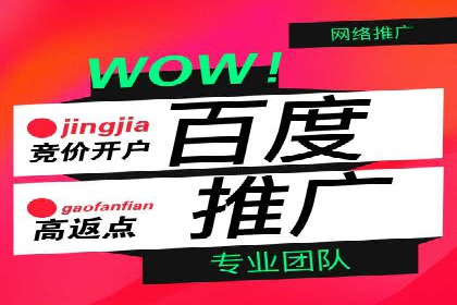抖音信息流代理服务在旅游行业的应用实例